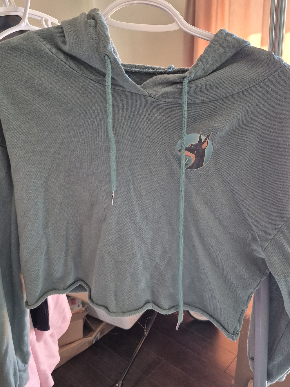 Crop Hoodie in Sage Green with Graphic
